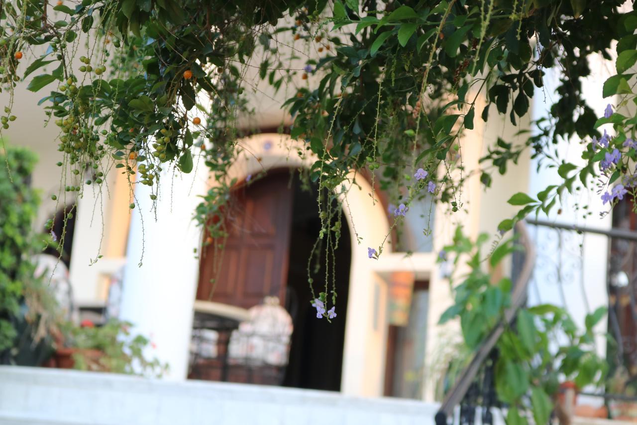 Meryem's Hotel Agios Epiktitos Exterior foto